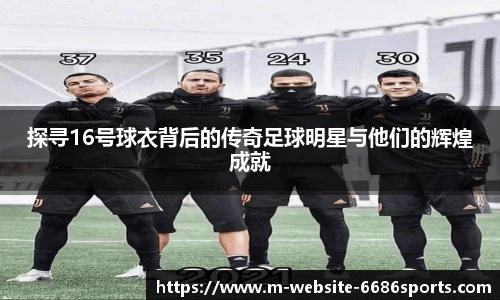 6686体育官方网站